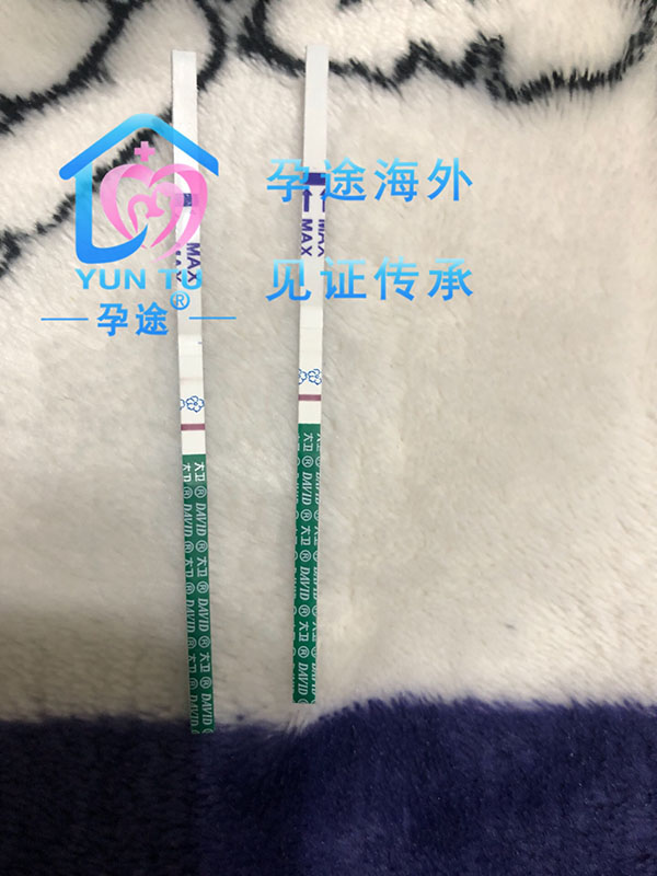 没输卵管，泰国试管婴儿一样可以拥有亲生小孩!