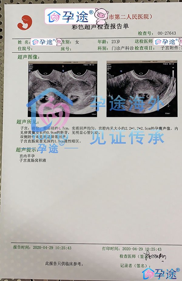 国内三代试管婴儿，海南慈铭博鳌国际医院成功测到胎心！