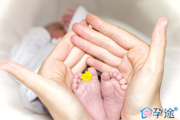 泰国试管婴儿移植后保胎要一直卧床吗