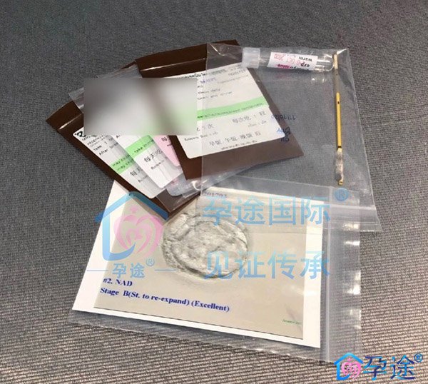 疫情期间泰国试管婴儿移植一次成功